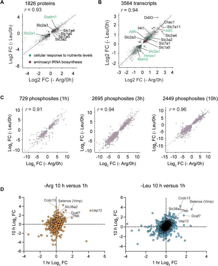 https://cdn.ncbi.nlm.nih.gov/pmc/blobs/e6a8/12413550/ca0bf9cae18e/LSA-2025-03324_FigS2.jpg