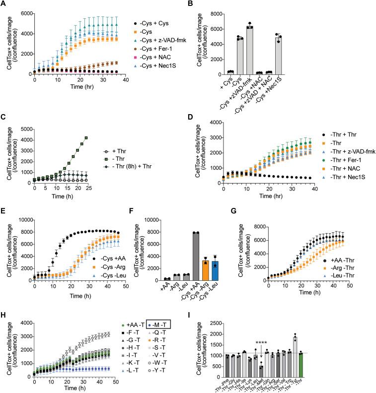 https://cdn.ncbi.nlm.nih.gov/pmc/blobs/e6a8/12413550/d81bb5292a24/LSA-2025-03324_Fig3.jpg