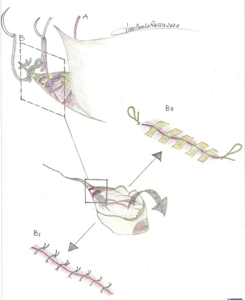 https://cdn.ncbi.nlm.nih.gov/pmc/blobs/e6aa/10550772/10152cf9af2c/gr3.jpg