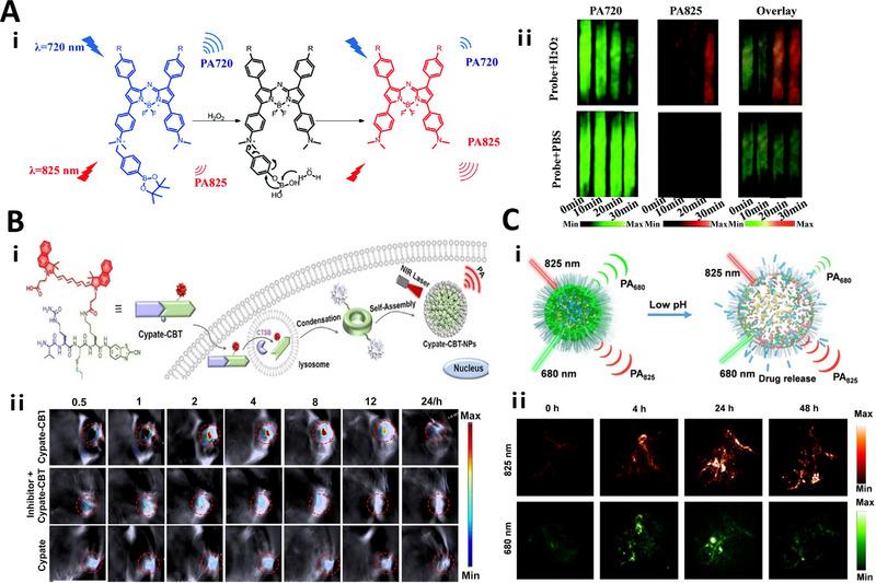 https://cdn.ncbi.nlm.nih.gov/pmc/blobs/e6ac/11335469/403002a4d1a1/EXP2-4-20230027-g007.jpg