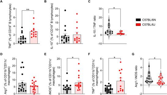 https://cdn.ncbi.nlm.nih.gov/pmc/blobs/e6ad/12214946/57ba582df529/MCO2-6-e70228-g007.jpg