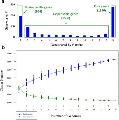 https://cdn.ncbi.nlm.nih.gov/pmc/blobs/e6ae/5780747/e4a6f43ff641/12864_2017_4337_Fig5_HTML.jpg