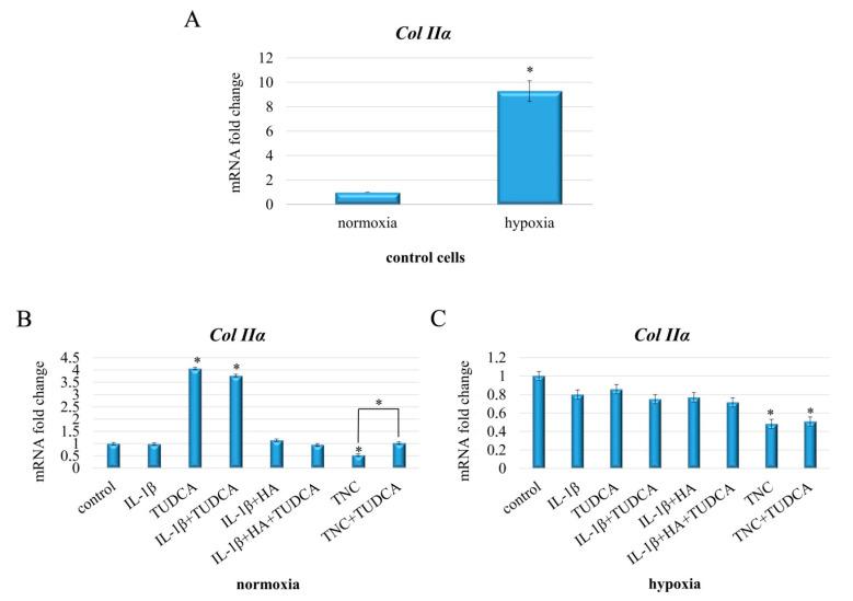 https://cdn.ncbi.nlm.nih.gov/pmc/blobs/e6ae/7915106/727e87d7df0b/molecules-26-00878-g006.jpg