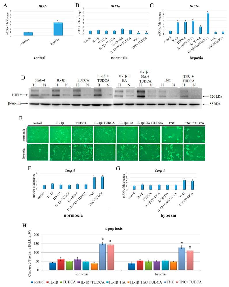 https://cdn.ncbi.nlm.nih.gov/pmc/blobs/e6ae/7915106/91582416737f/molecules-26-00878-g002.jpg