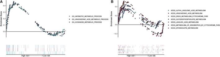 https://cdn.ncbi.nlm.nih.gov/pmc/blobs/e6af/7214181/4cd2471af251/JCMM-24-5842-g006.jpg