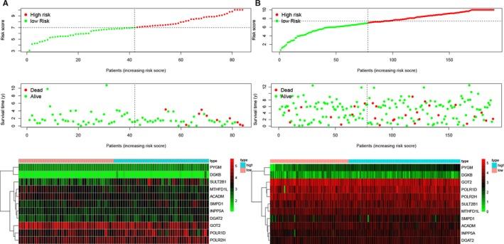 https://cdn.ncbi.nlm.nih.gov/pmc/blobs/e6af/7214181/8cee0dd63388/JCMM-24-5842-g004.jpg