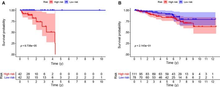 https://cdn.ncbi.nlm.nih.gov/pmc/blobs/e6af/7214181/df099c618155/JCMM-24-5842-g003.jpg