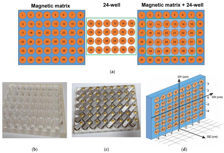 https://cdn.ncbi.nlm.nih.gov/pmc/blobs/e6b0/9405828/4378b183f7c5/biosensors-12-00627-g001.jpg