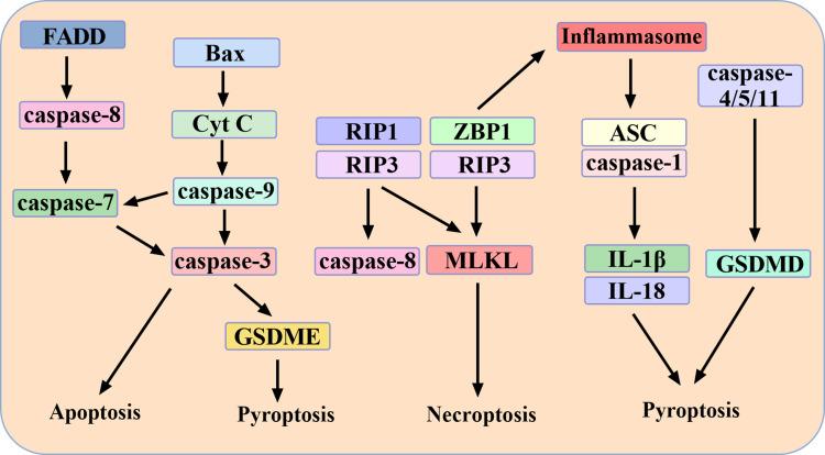 https://cdn.ncbi.nlm.nih.gov/pmc/blobs/e6b1/10106823/0b21e8747005/JIR-16-1523-g0001.jpg