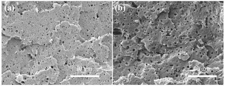 https://cdn.ncbi.nlm.nih.gov/pmc/blobs/e6b3/6402305/0c1d0932c7d2/polymers-11-00089-g003.jpg