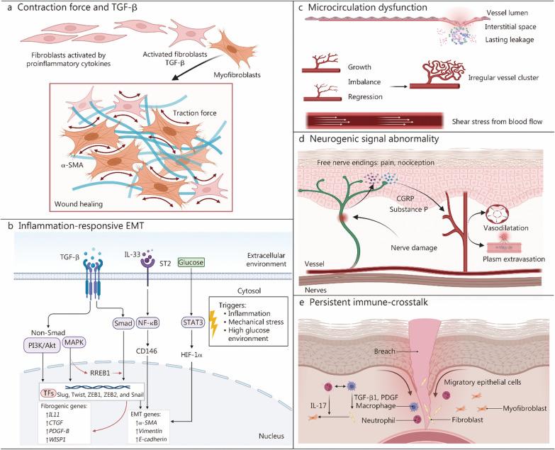 https://cdn.ncbi.nlm.nih.gov/pmc/blobs/e6b7/10874556/0b3d246cd81f/40779_2024_519_Fig1_HTML.jpg