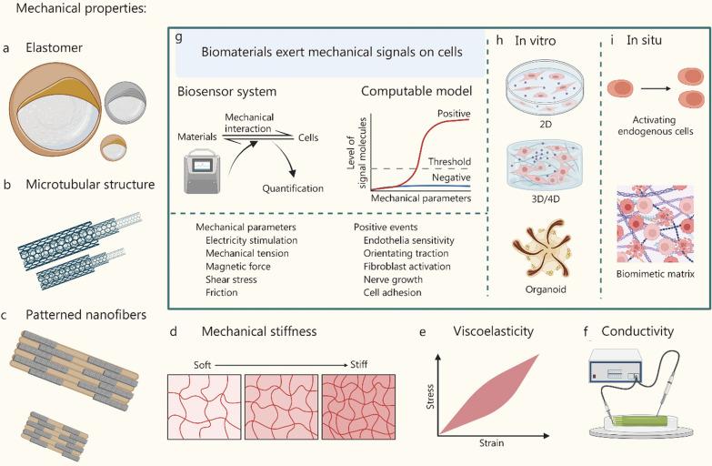 https://cdn.ncbi.nlm.nih.gov/pmc/blobs/e6b7/10874556/45dfddeb6666/40779_2024_519_Fig4_HTML.jpg