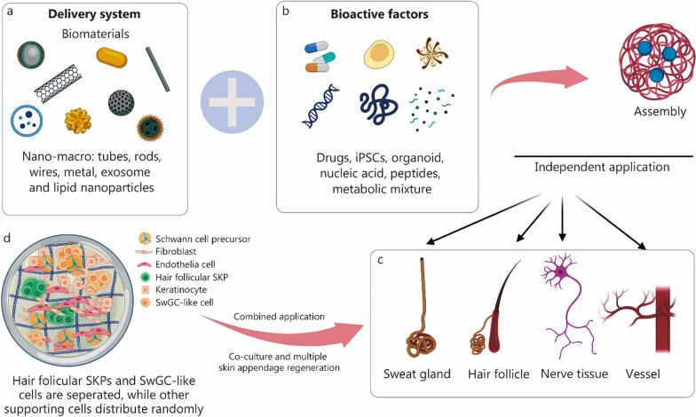 https://cdn.ncbi.nlm.nih.gov/pmc/blobs/e6b7/10874556/996b58e63bb8/40779_2024_519_Fig5_HTML.jpg