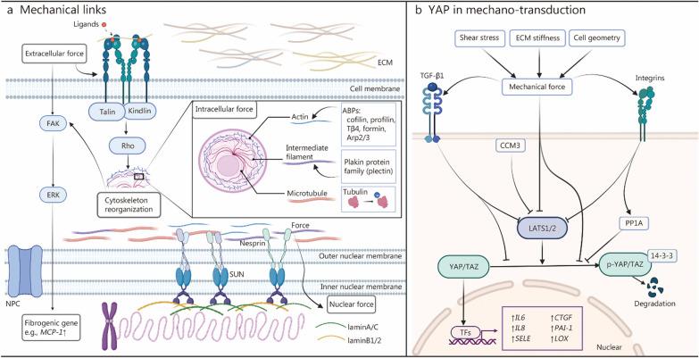 https://cdn.ncbi.nlm.nih.gov/pmc/blobs/e6b7/10874556/d2a9b0d03e95/40779_2024_519_Fig2_HTML.jpg