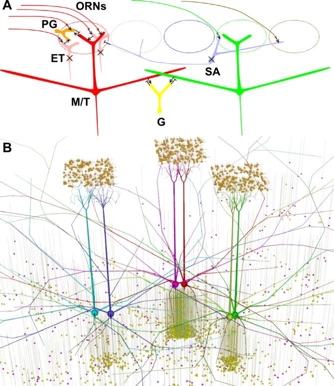 https://cdn.ncbi.nlm.nih.gov/pmc/blobs/e6b8/4420273/c4f627abf0c9/pone.0098045.g001.jpg