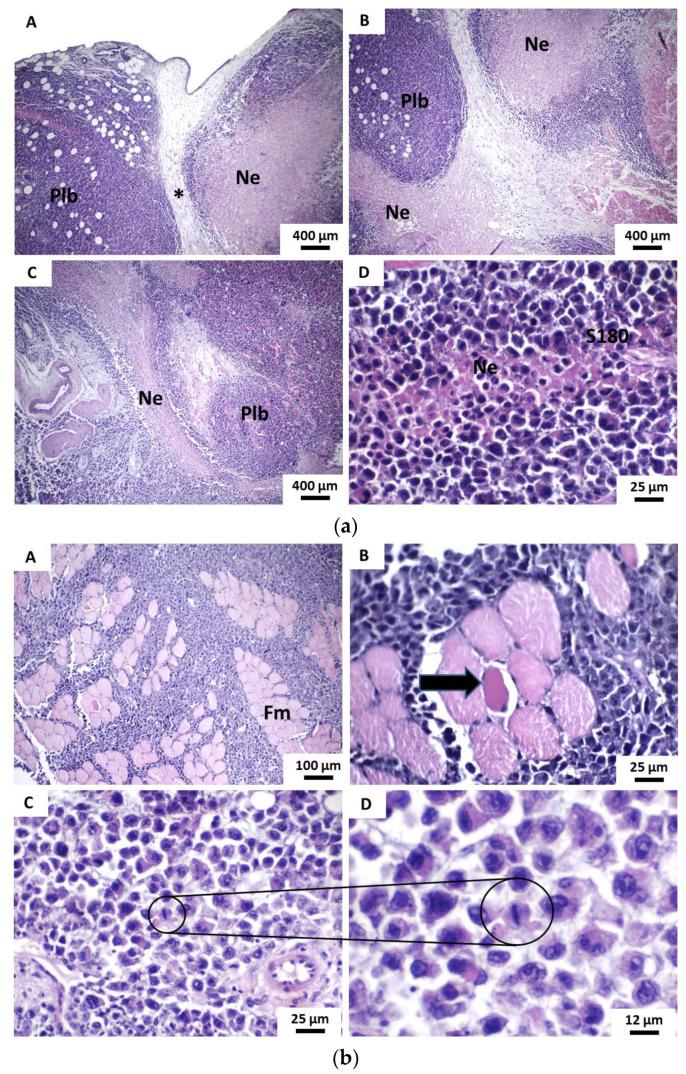https://cdn.ncbi.nlm.nih.gov/pmc/blobs/e6b8/7916601/c0374721473a/pharmaceutics-13-00245-g007.jpg