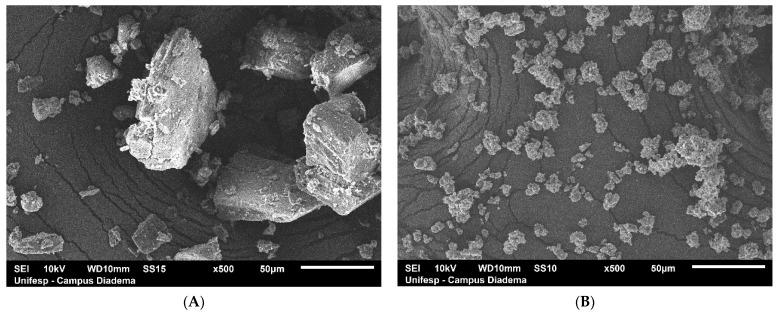 https://cdn.ncbi.nlm.nih.gov/pmc/blobs/e6b8/7916601/fc51c92123cc/pharmaceutics-13-00245-g003.jpg