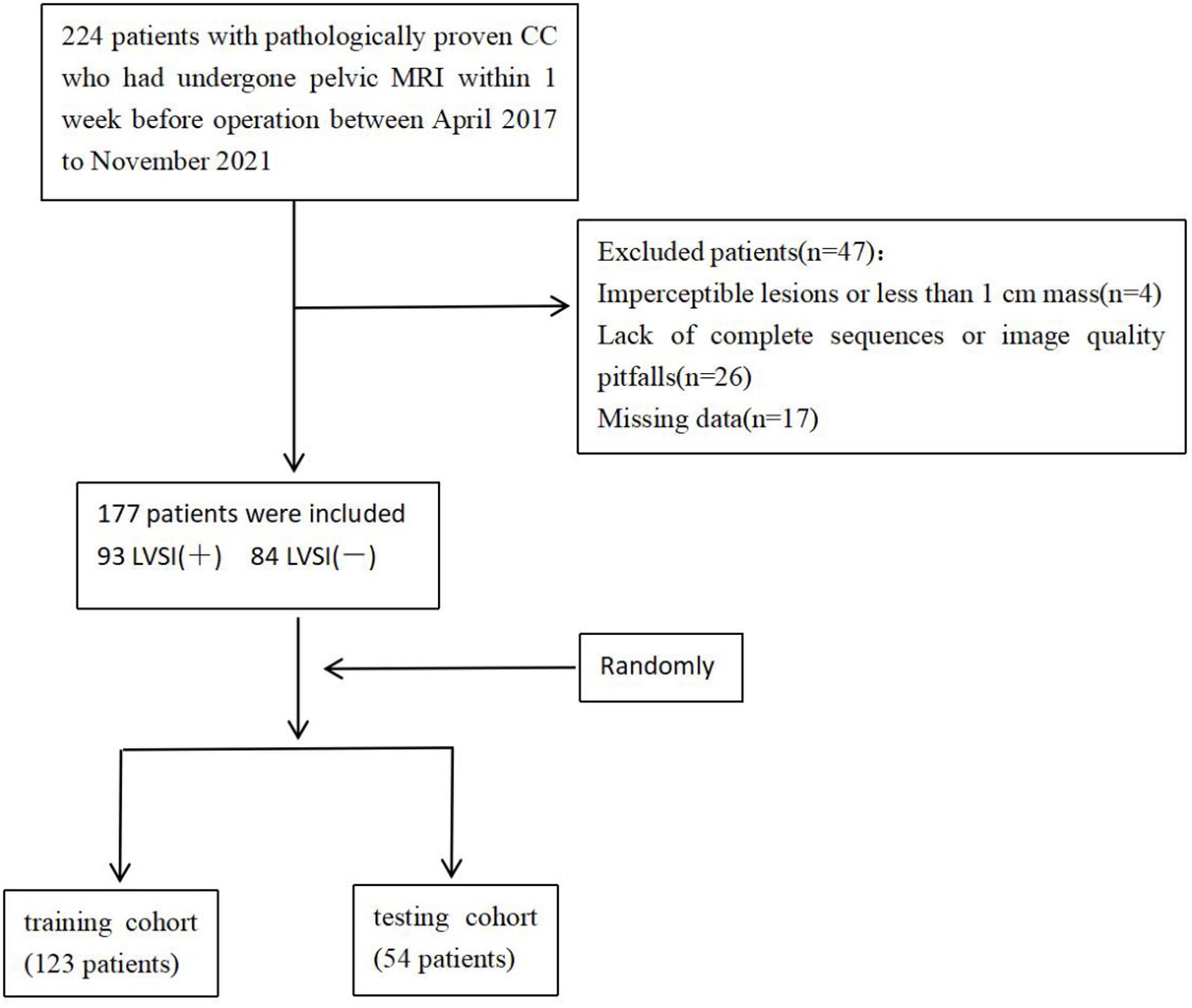 https://cdn.ncbi.nlm.nih.gov/pmc/blobs/e6ba/11225404/769102f06e7d/12880_2024_1344_Fig1_HTML.jpg