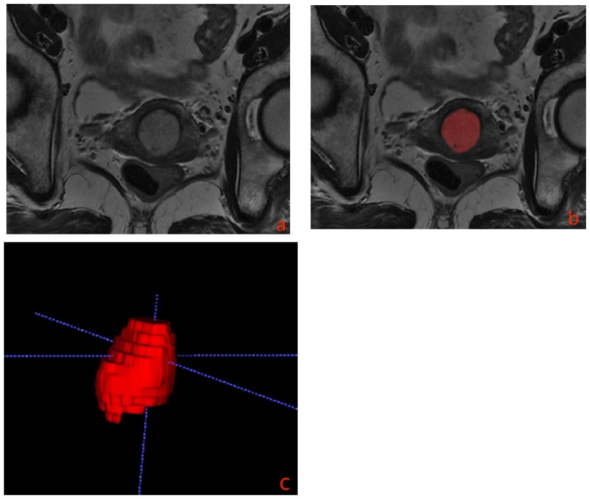 https://cdn.ncbi.nlm.nih.gov/pmc/blobs/e6ba/11225404/9d4b6cef2d8c/12880_2024_1344_Fig2_HTML.jpg
