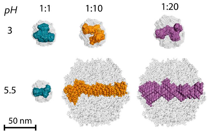 https://cdn.ncbi.nlm.nih.gov/pmc/blobs/e6ba/12073466/4c7c20b5e33c/polymers-17-01236-g010.jpg