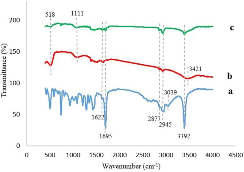 https://cdn.ncbi.nlm.nih.gov/pmc/blobs/e6bb/12179192/31eca4725a0f/fpls-16-1570945-g004.jpg