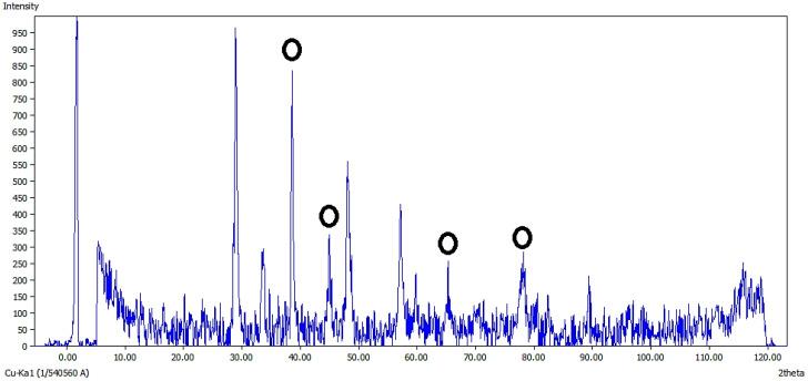 https://cdn.ncbi.nlm.nih.gov/pmc/blobs/e6bb/12179192/46f816548955/fpls-16-1570945-g006.jpg