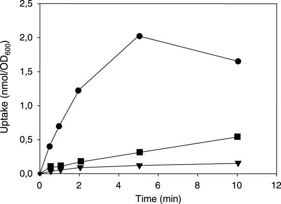 https://cdn.ncbi.nlm.nih.gov/pmc/blobs/e6bb/1693879/c8658487b20f/gkl733f6.jpg