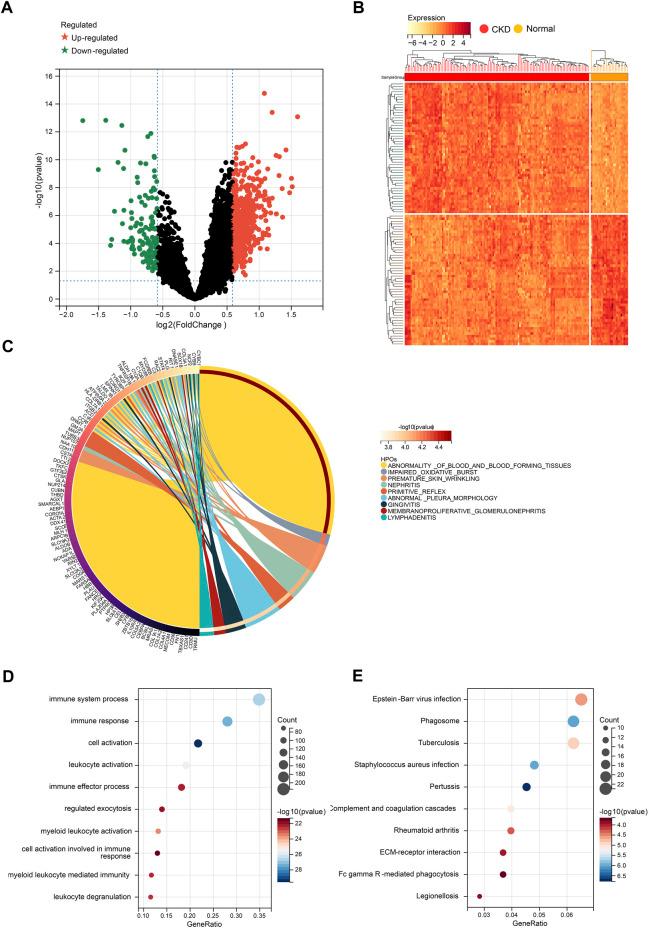 https://cdn.ncbi.nlm.nih.gov/pmc/blobs/e6bd/9838551/1856020e3744/fphar-13-1069810-g003.jpg