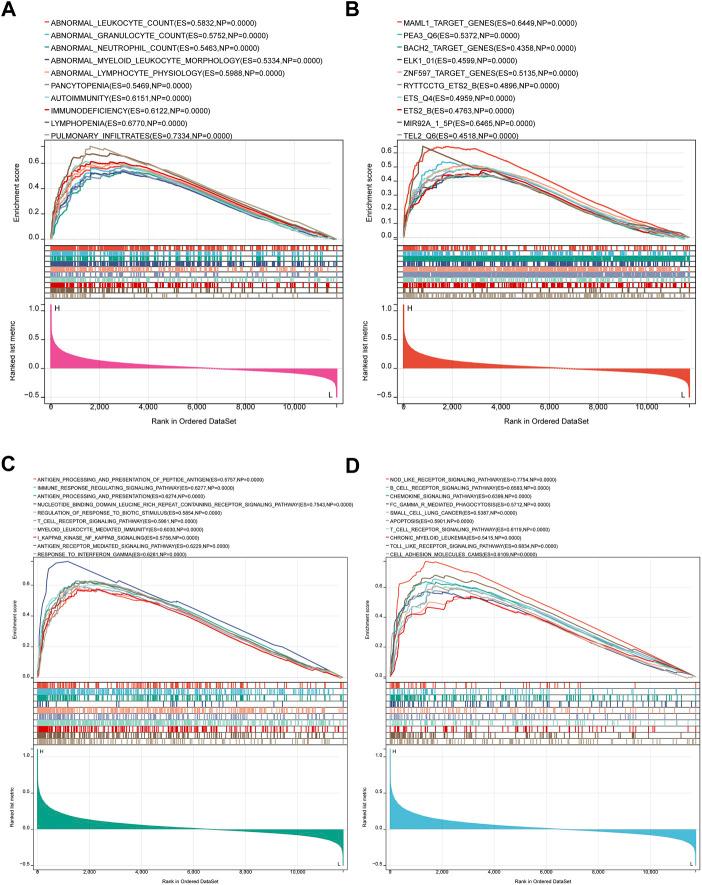 https://cdn.ncbi.nlm.nih.gov/pmc/blobs/e6bd/9838551/7cdcdc520fcd/fphar-13-1069810-g010.jpg