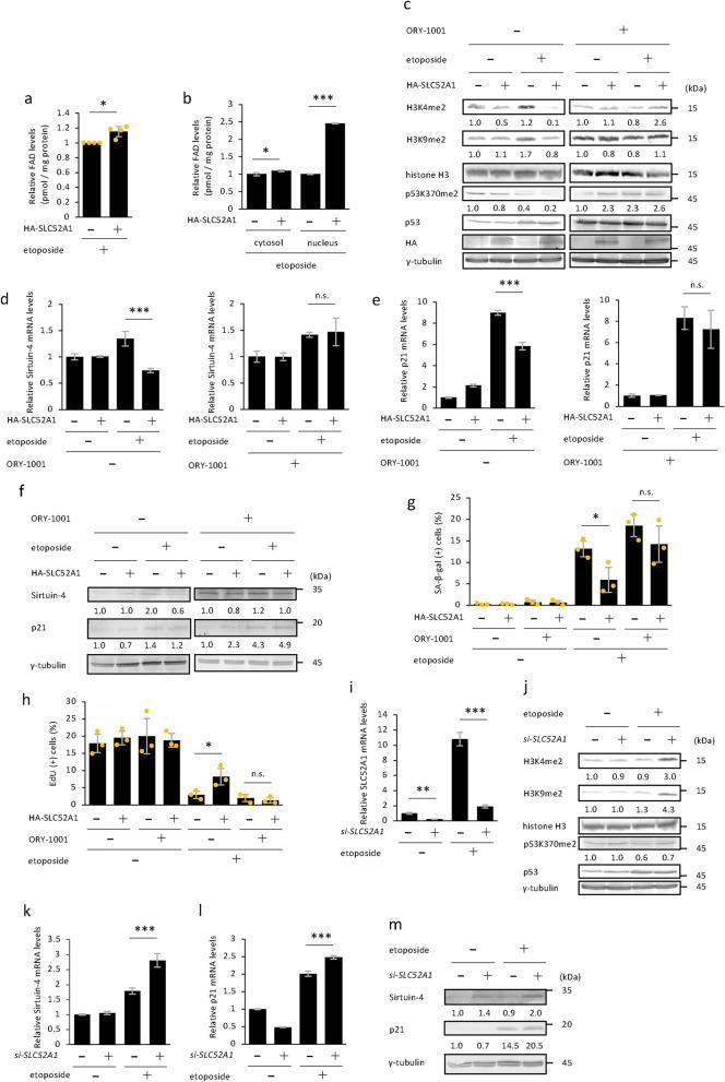 https://cdn.ncbi.nlm.nih.gov/pmc/blobs/e6bf/11847913/24d7da3c4115/41598_2025_91004_Fig6_HTML.jpg