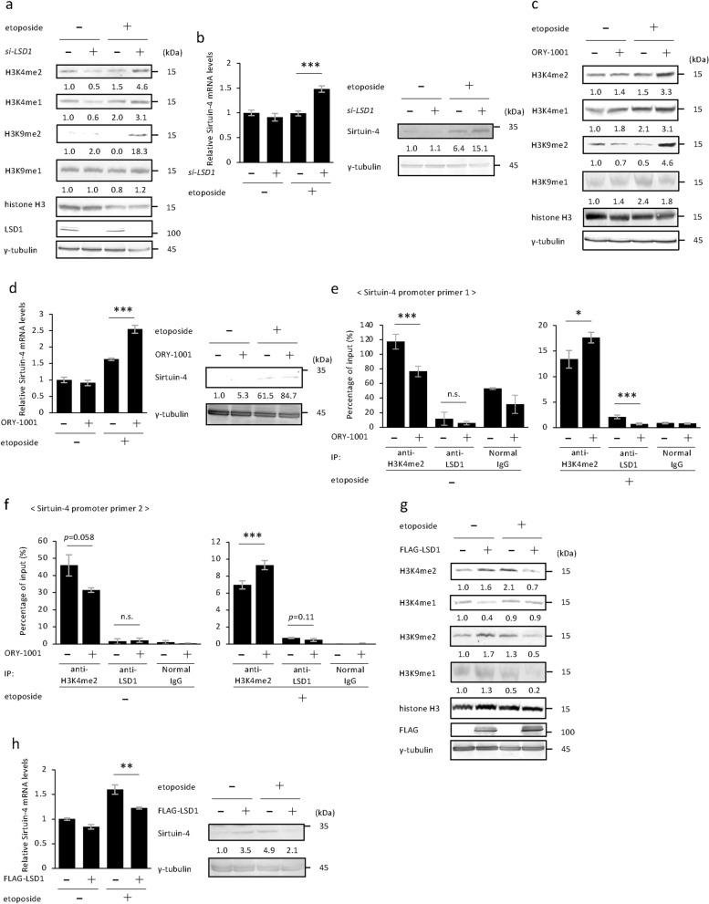 https://cdn.ncbi.nlm.nih.gov/pmc/blobs/e6bf/11847913/fd44e1cdb198/41598_2025_91004_Fig3_HTML.jpg