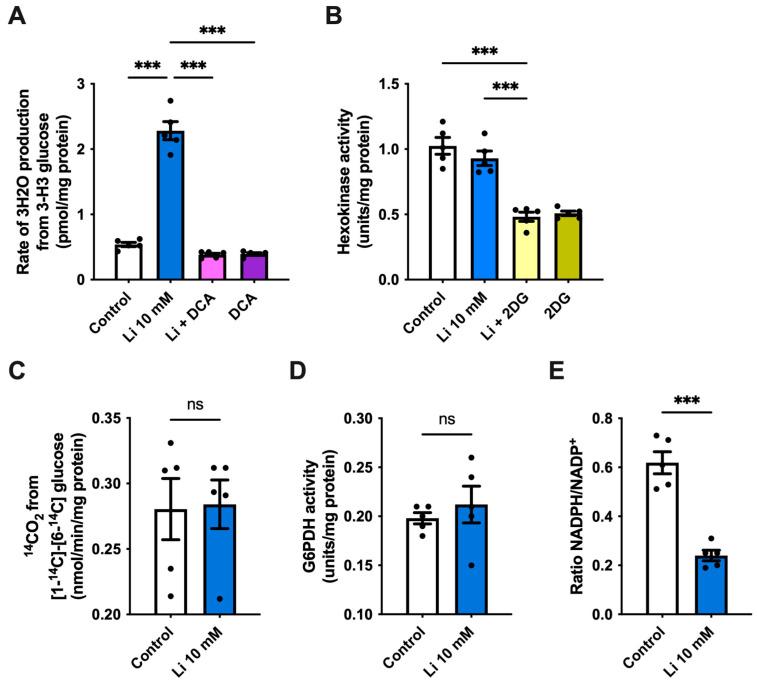 https://cdn.ncbi.nlm.nih.gov/pmc/blobs/e6bf/9368914/4f2925044eca/ijms-23-08733-g002.jpg