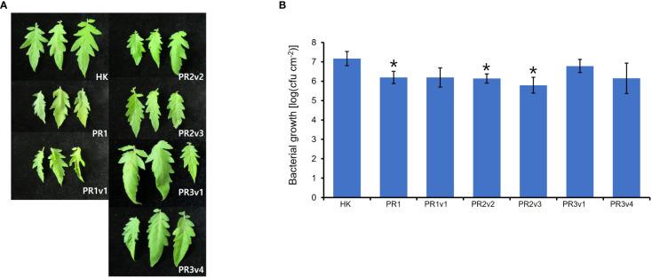 https://cdn.ncbi.nlm.nih.gov/pmc/blobs/e6c0/10225705/261ac84052b0/fpls-14-1186932-g005.jpg