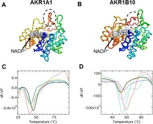 https://cdn.ncbi.nlm.nih.gov/pmc/blobs/e6c0/5119574/ff2178f1f662/PRO-25-2132-g002.jpg