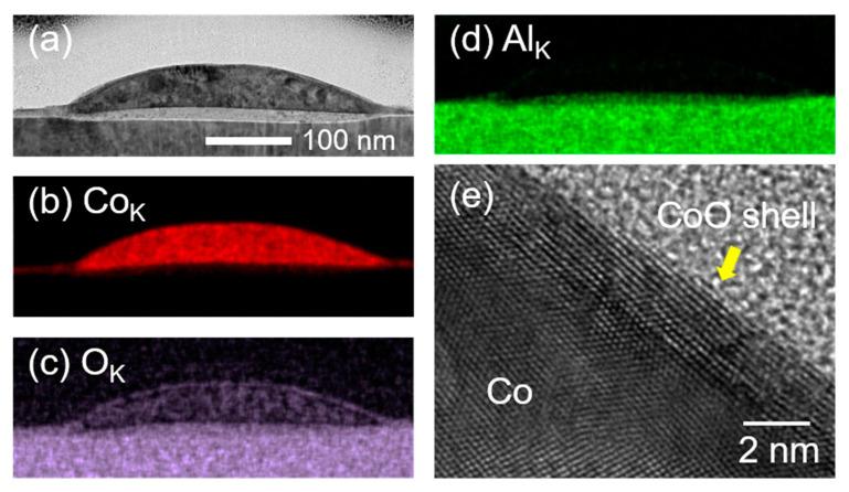 https://cdn.ncbi.nlm.nih.gov/pmc/blobs/e6c2/7909543/3112ac0674a3/nanomaterials-11-00268-g005.jpg