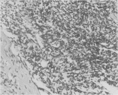 https://cdn.ncbi.nlm.nih.gov/pmc/blobs/e6c3/1848627/4cded39a1f88/canmedaj00922-0023-c.jpg