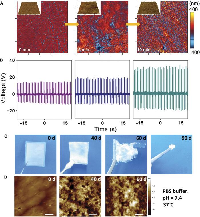 https://cdn.ncbi.nlm.nih.gov/pmc/blobs/e6c5/4783121/43641f137ede/1501478-F3.jpg