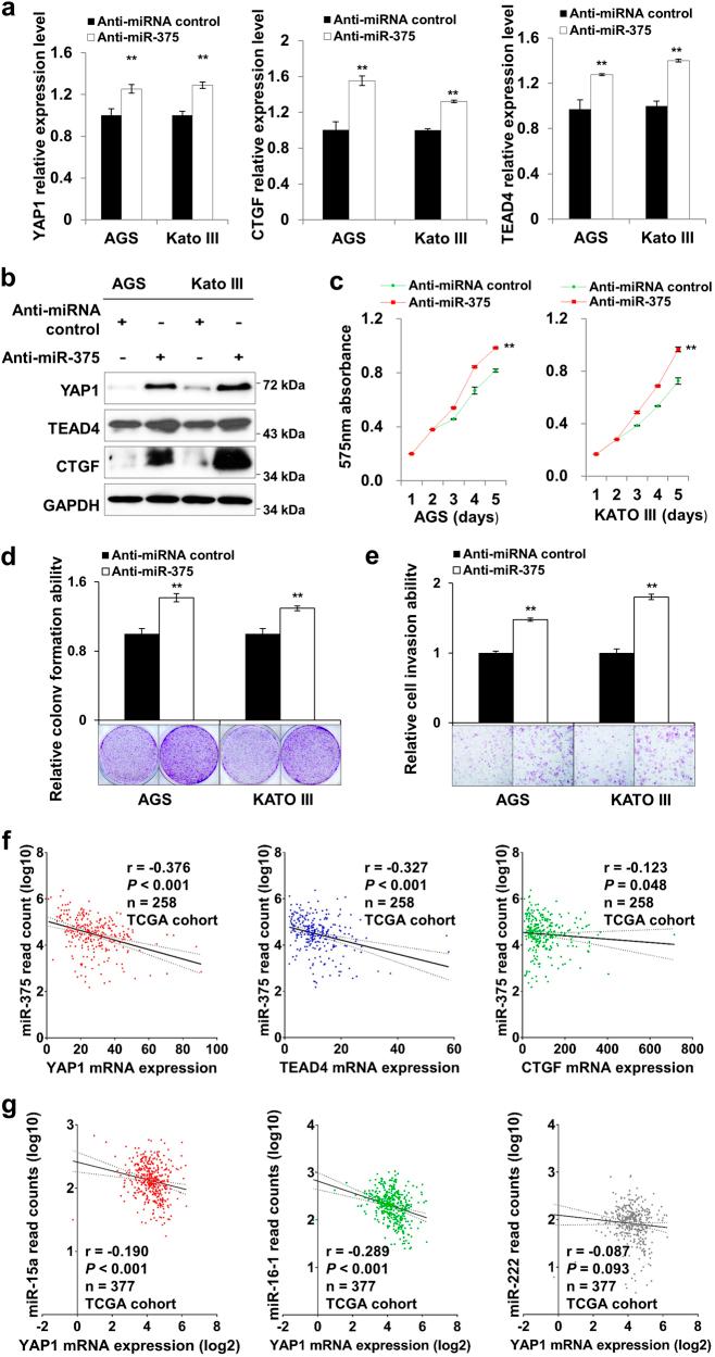 https://cdn.ncbi.nlm.nih.gov/pmc/blobs/e6c7/5833783/55f6650b10d8/41419_2017_134_Fig3_HTML.jpg
