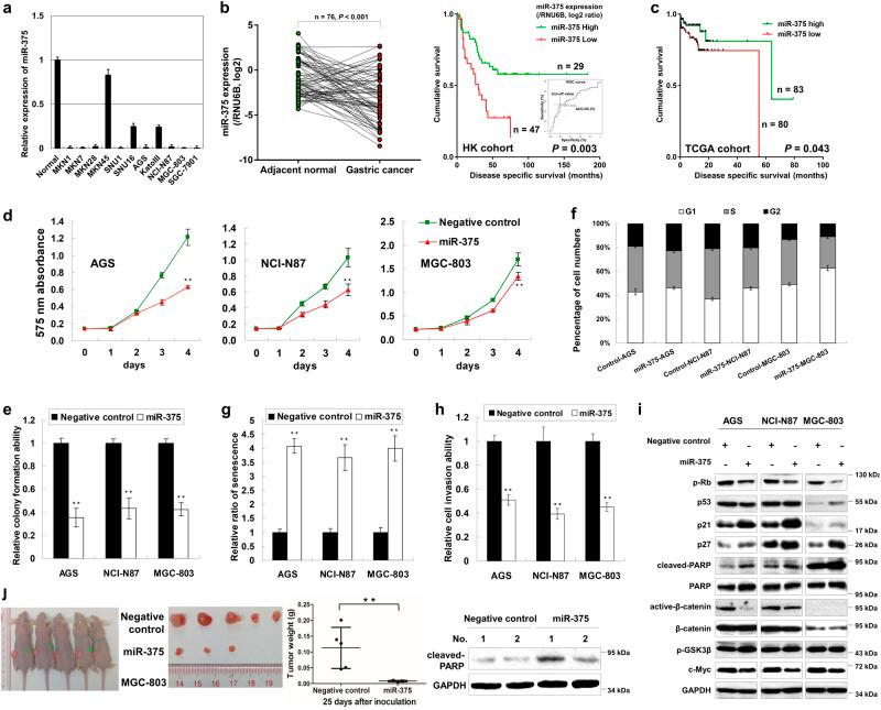 https://cdn.ncbi.nlm.nih.gov/pmc/blobs/e6c7/5833783/7545a4ca989c/41419_2017_134_Fig1_HTML.jpg