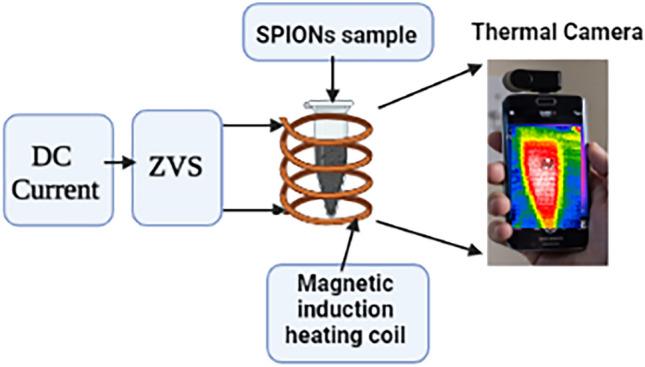 https://cdn.ncbi.nlm.nih.gov/pmc/blobs/e6c8/10624884/79a4e8d79bab/41598_2023_46287_Fig2_HTML.jpg