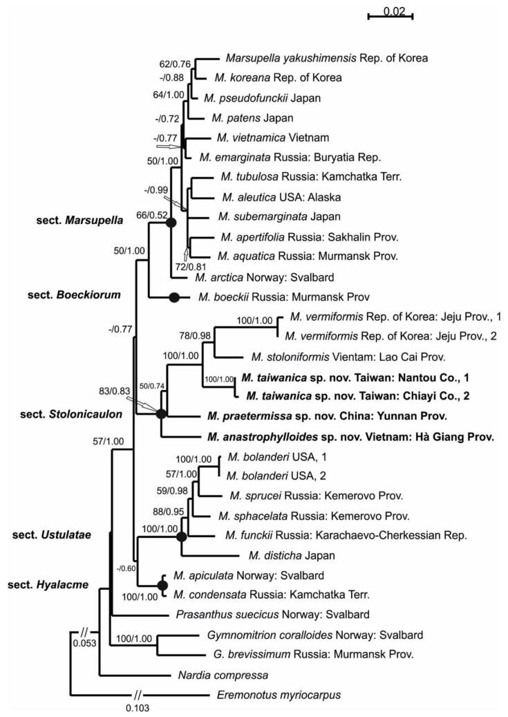 https://cdn.ncbi.nlm.nih.gov/pmc/blobs/e6cb/9230718/fcbd55fdd17a/plants-11-01596-g001.jpg