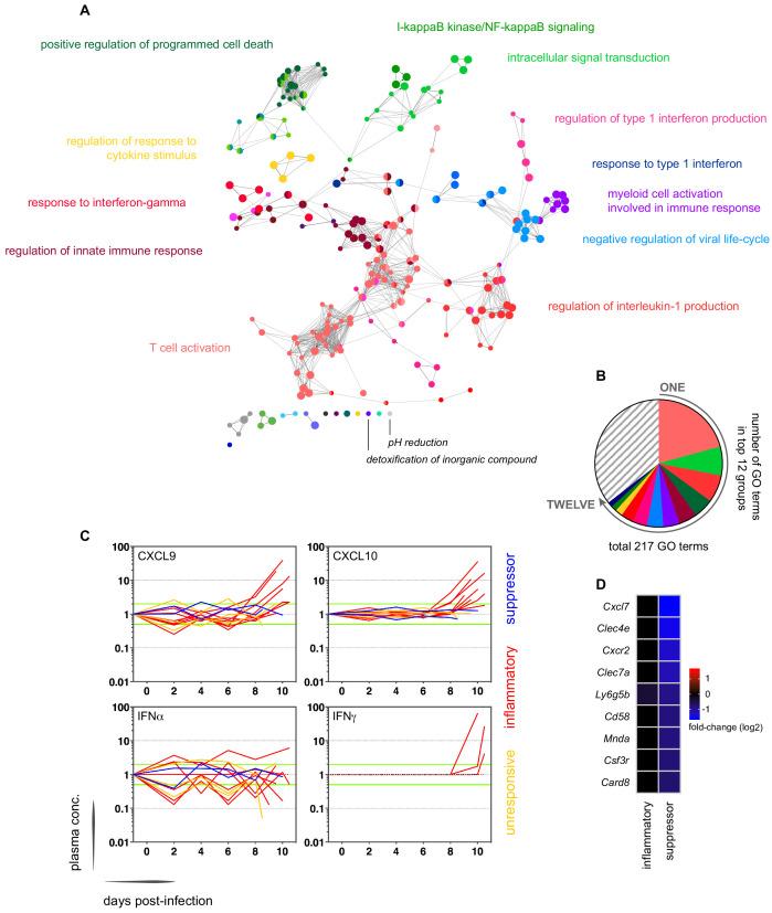 https://cdn.ncbi.nlm.nih.gov/pmc/blobs/e6cd/7924948/a8c36e2c86c6/elife-62800-fig2.jpg