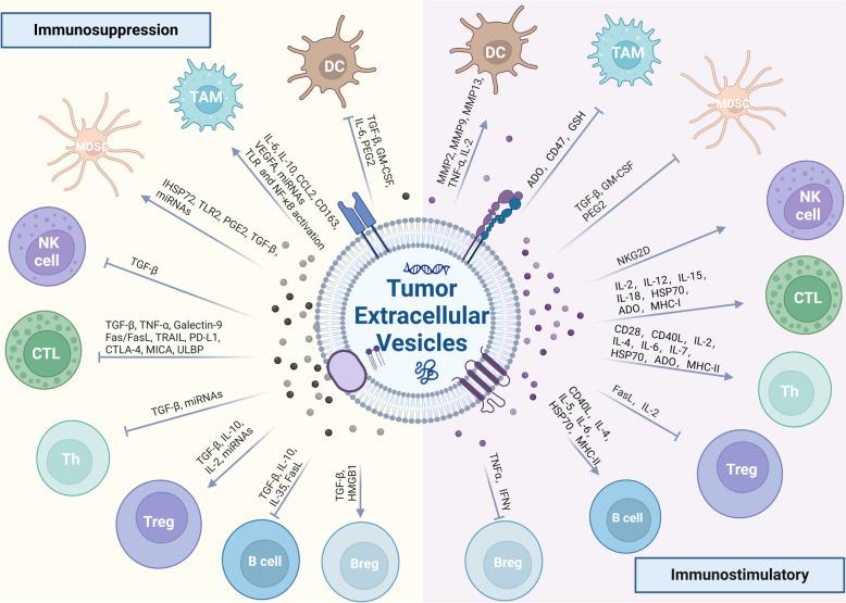 https://cdn.ncbi.nlm.nih.gov/pmc/blobs/e6ce/11829561/b7ff9b6a3f96/12943_2025_2233_Fig3_HTML.jpg