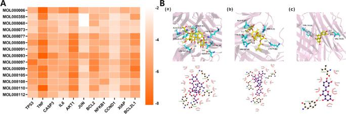 https://cdn.ncbi.nlm.nih.gov/pmc/blobs/e6d0/12234659/03737fcfe40e/41598_2025_10271_Fig6_HTML.jpg