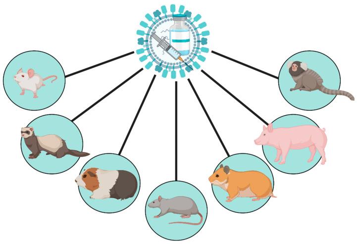 https://cdn.ncbi.nlm.nih.gov/pmc/blobs/e6d4/8310120/acc3b8ee04ff/vaccines-09-00787-g001.jpg