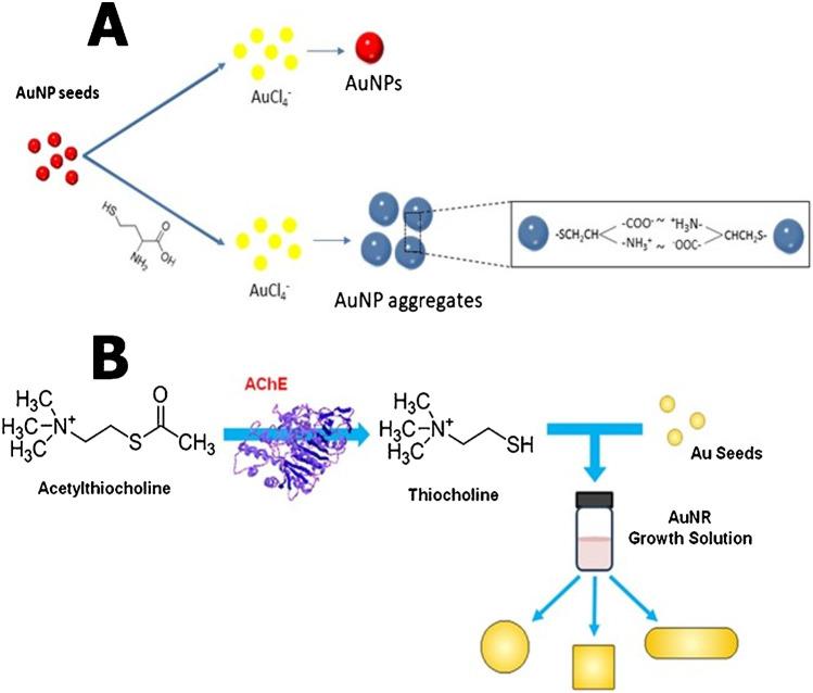 https://cdn.ncbi.nlm.nih.gov/pmc/blobs/e6d4/9616756/97b6f3b2e28e/604_2022_5536_Fig4_HTML.jpg