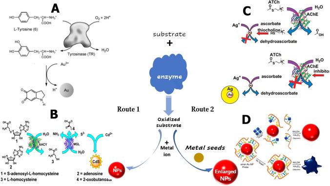 https://cdn.ncbi.nlm.nih.gov/pmc/blobs/e6d4/9616756/bb1b6ba595d0/604_2022_5536_Fig1_HTML.jpg