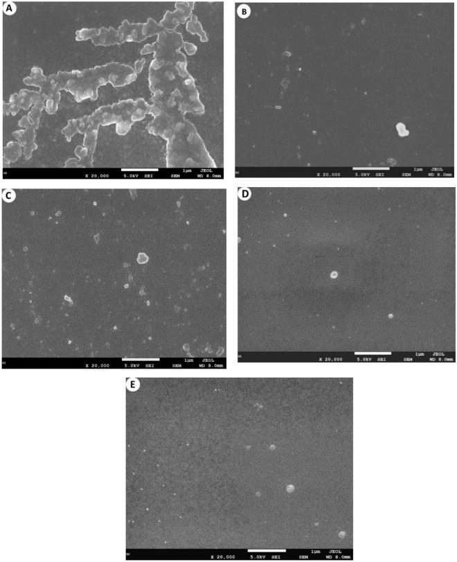 https://cdn.ncbi.nlm.nih.gov/pmc/blobs/e6d5/10027669/5e560374d21c/41598_2023_27515_Fig6_HTML.jpg
