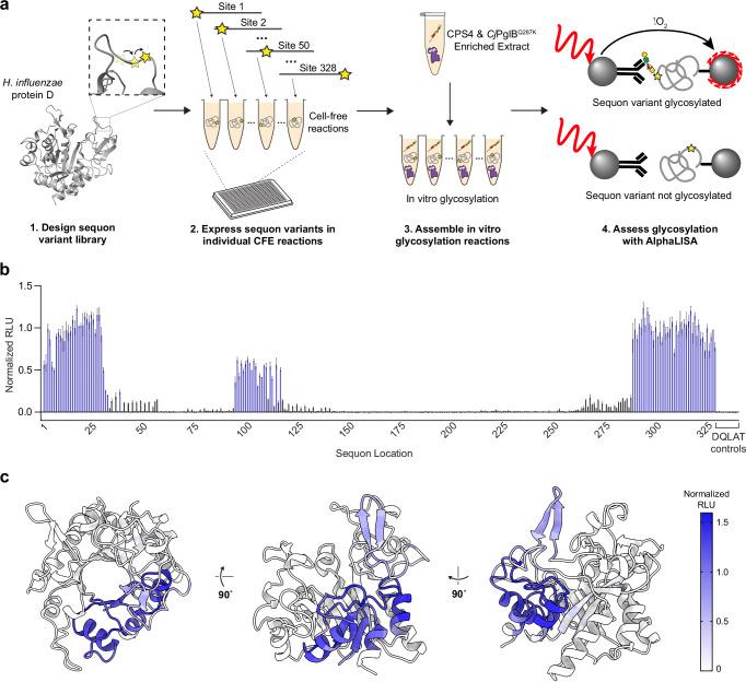 https://cdn.ncbi.nlm.nih.gov/pmc/blobs/e6d5/12325987/bea7b33f06ae/41467_2025_60526_Fig6_HTML.jpg