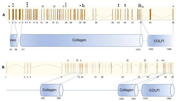 https://cdn.ncbi.nlm.nih.gov/pmc/blobs/e6d5/7464315/545273352998/genes-11-00882-g004.jpg